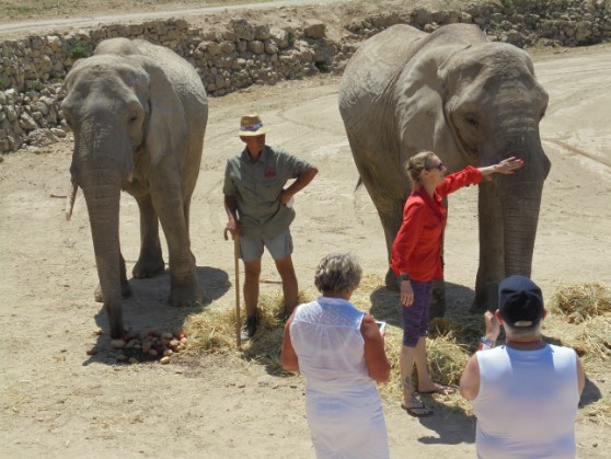 Safari in Aitana